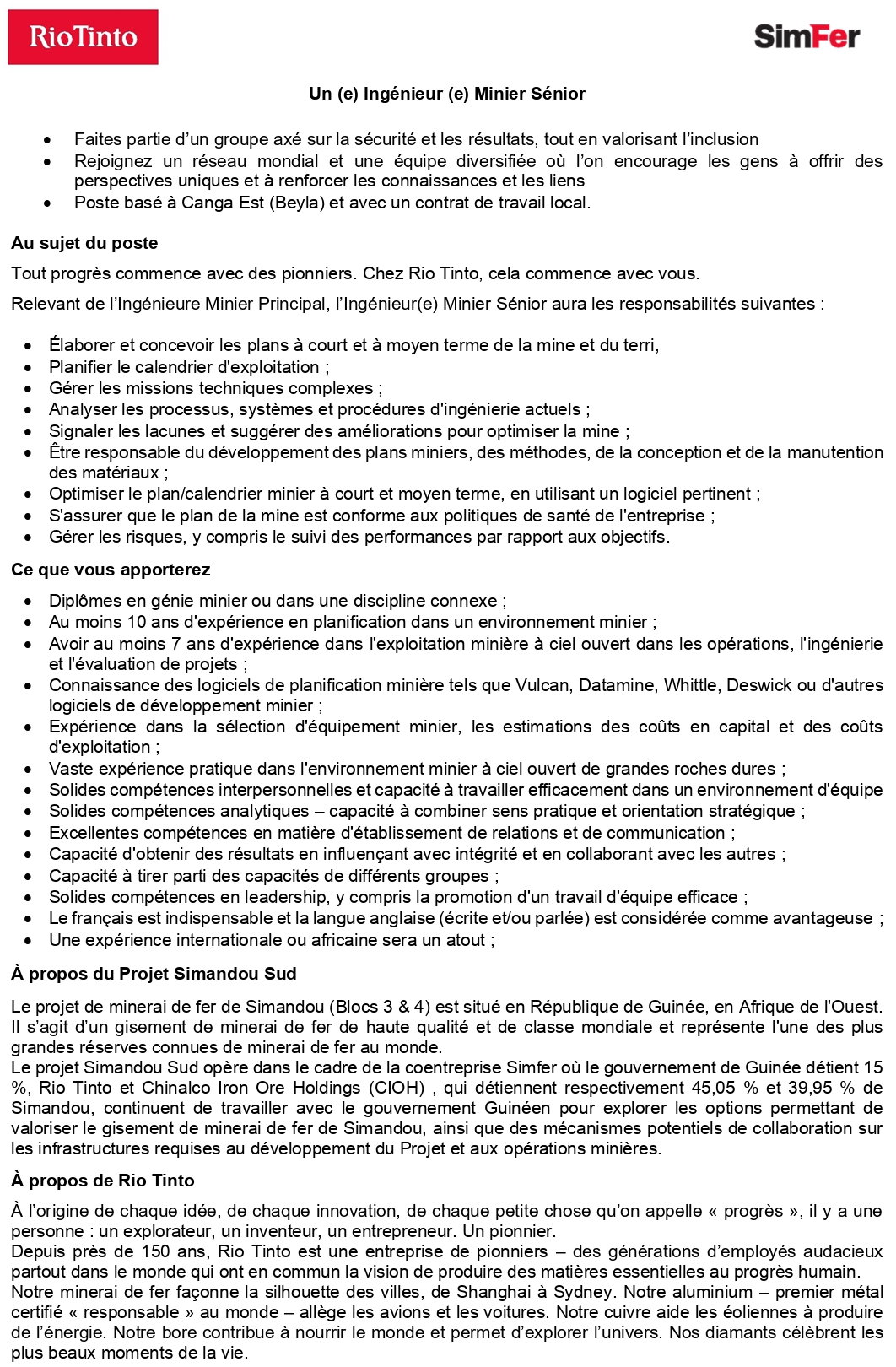 Un (e) Ingénieur (e) Minier Sénior | Page 1